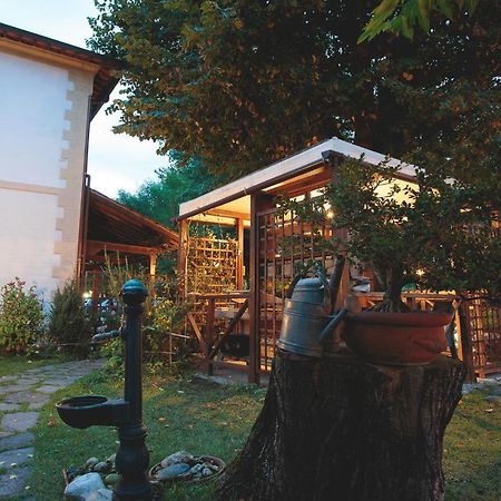 Hotel Giuly Torre del Lago Puccini Exterior foto